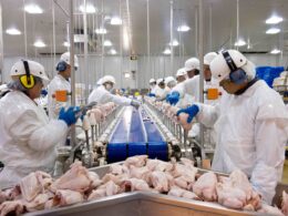 Brasil Alivia Controle Sanitário: O Que Isso Significa para a Indústria e Nossa Saúde?
