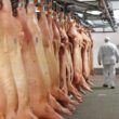 Brasil Balança o Mercado: Carne Suína em Exportações Rende Ouro e Surpreende o Mundo!