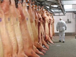 Brasil Balança o Mercado: Carne Suína em Exportações Rende Ouro e Surpreende o Mundo!