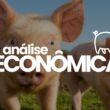 Brasil Bate Recorde: 713 Mil Toneladas de Carne Suína Exportadas! O Que Isso Significa para o Mercado?