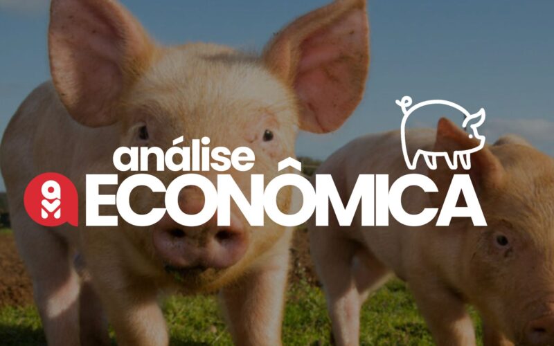 Brasil Bate Recorde: 713 Mil Toneladas de Carne Suína Exportadas! O Que Isso Significa para o Mercado?