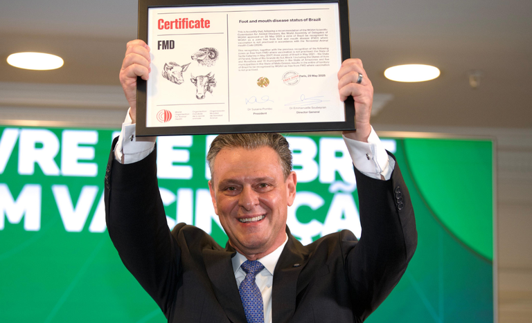 Brasil Brilha no Cenário Internacional: Livre de Febre Aftosa Sem Vacinação! O Que Isso Significa para o Agronegócio?