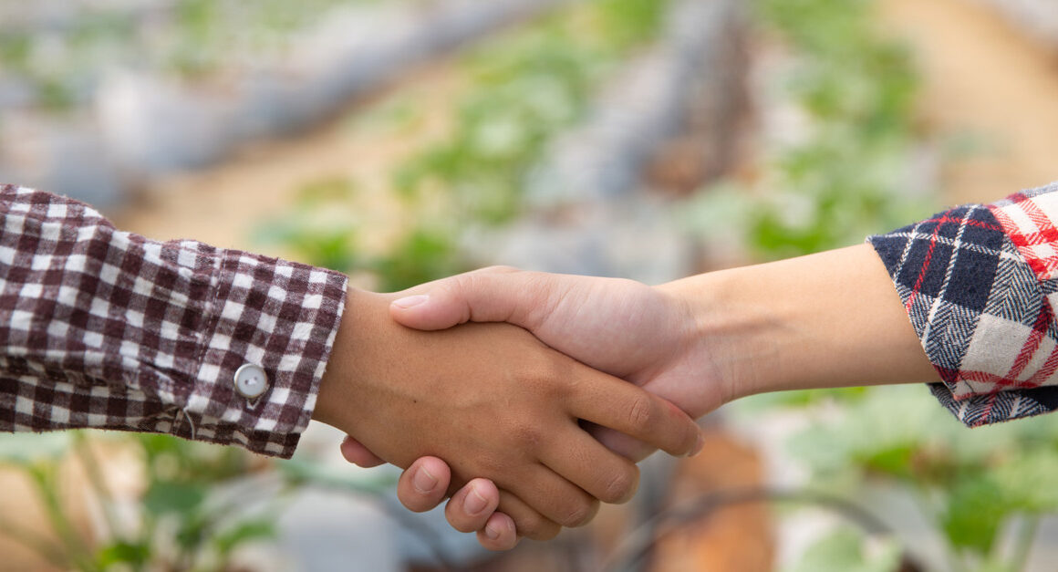 Brasil em Foco: O Futuro Brilhante dos Mercados Agrícolas até 2026 Está Aqui!