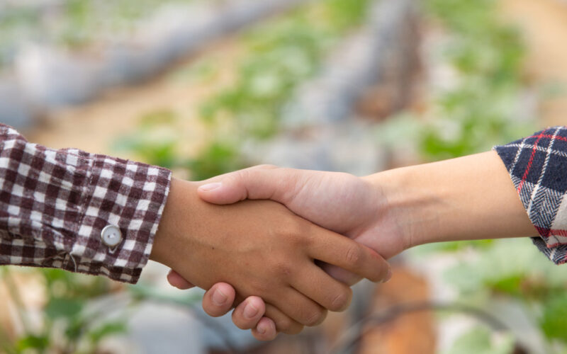 Brasil em Foco: O Futuro Brilhante dos Mercados Agrícolas até 2026 Está Aqui!