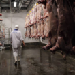 Brasil suspende exportação de carne bovina para a China após caso de vaca louca.