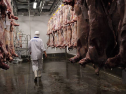 Brasil suspende exportação de carne bovina para a China após caso de vaca louca.