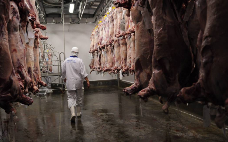 Brasil suspende exportação de carne bovina para a China após caso de vaca louca.