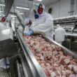 Brasil Volta a Selecionar Frango para o Kuwait: O que Isso Significa para o Mercado e os Consumidores?