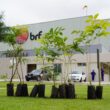 BRF é condenada por manter funcionária em trabalho de parto e perda de bebês.