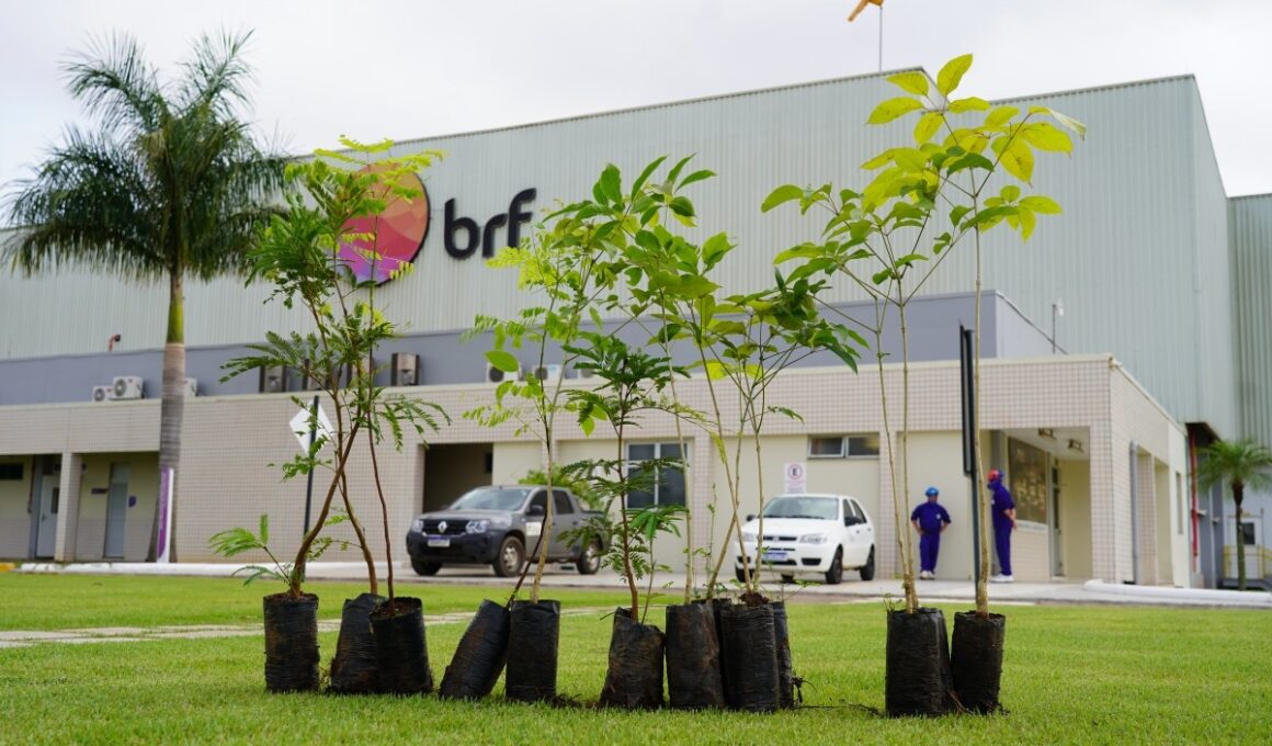 BRF é condenada por manter funcionária em trabalho de parto e perda de bebês.