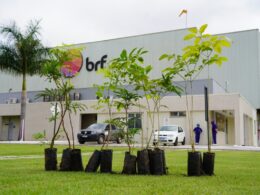 BRF é condenada por manter funcionária em trabalho de parto e perda de bebês.