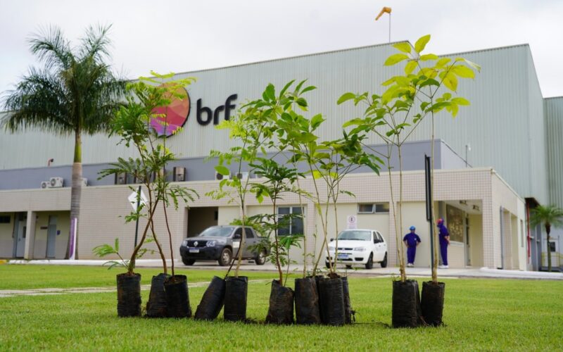 BRF é condenada por manter funcionária em trabalho de parto e perda de bebês.