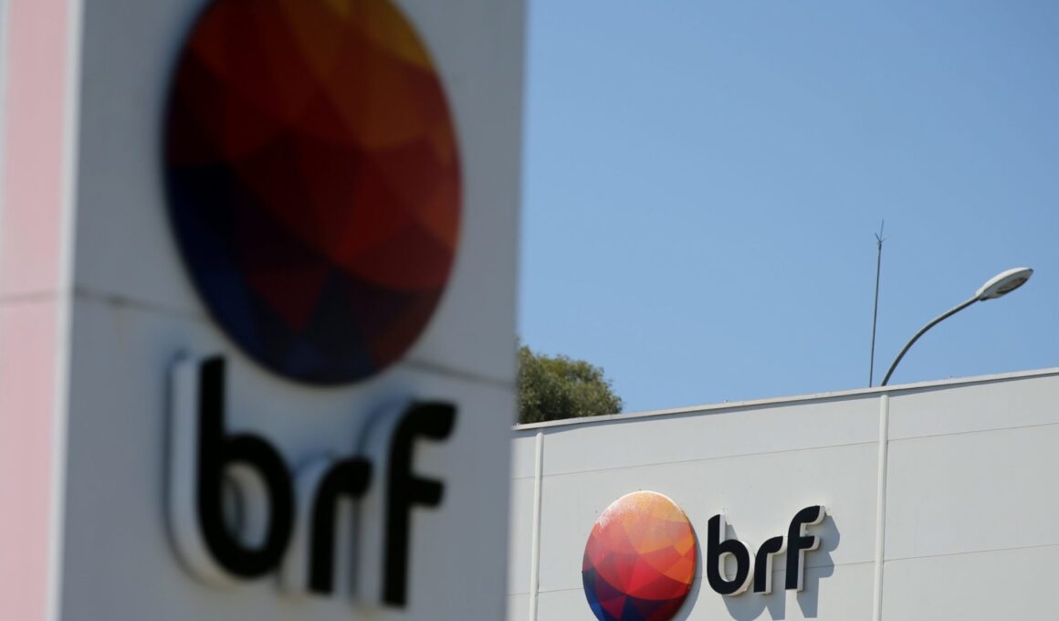 BRF Ingredients Impulsiona Crescimento: R$ 20 Milhões em Nova Fábrica no Paraná para Satisfazer a Demanda! BRF Ingredients Impulsiona Crescimento: R$ 20 Milhões em Nova Fábrica no Paraná para Satisfazer a Demanda!