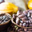 Cacau em Crise: Como a Queda da Oferta no 1º Trimestre Afeta o Seu Chocolate Favorito