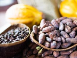 Cacau em Crise: Como a Queda da Oferta no 1º Trimestre Afeta o Seu Chocolate Favorito