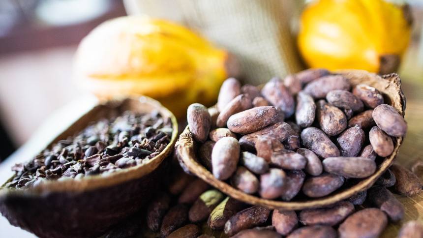 Cacau em Crise: Como a Queda da Oferta no 1º Trimestre Afeta o Seu Chocolate Favorito