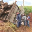 Caminhão com porcos tomba em rodovia do PR e carga é saqueada por populares durante o acidente