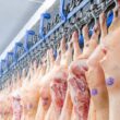 Carne Suína a Preço de Ouro: A Nova Oportunidade das Exportações para a Coreia do Sul!