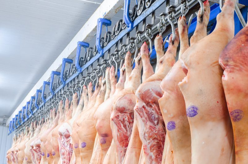 Carne Suína a Preço de Ouro: A Nova Oportunidade das Exportações para a Coreia do Sul!