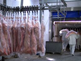 Carne Suína em Alta: Exportações Batem Recorde e Custos Caem! O Que Isso Significa Para Você?