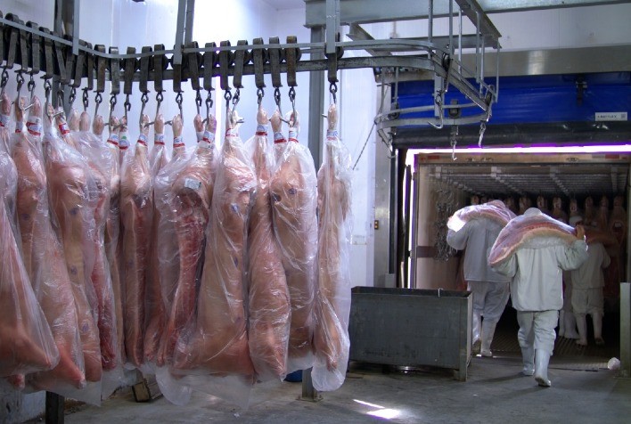 Carne Suína em Alta: Exportações Batem Recorde e Custos Caem! O Que Isso Significa Para Você?