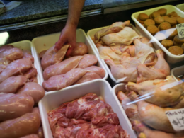 China Abre as Portas para as Aves Argentinas: O Que Isso Significa para a Disputa com os EUA?