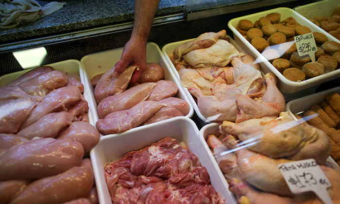 China Abre as Portas para as Aves Argentinas: O Que Isso Significa para a Disputa com os EUA?