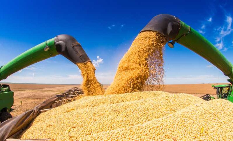 China Impulsiona Demanda: Brasil Garantirá Suprimento de Soja Mesmo com Crescente Interesse Chinês!