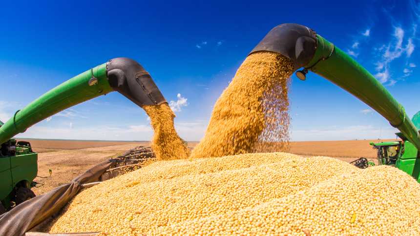 China Impulsiona Demanda: Brasil Garantirá Suprimento de Soja Mesmo com Crescente Interesse Chinês!