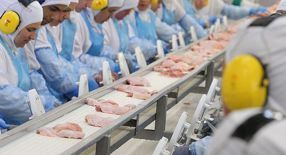 China suspende importações de frango do Brasil após surto de gripe aviária e habilita frigoríficos locais