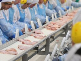 China suspende importações de frango do Brasil após surto de gripe aviária e habilita frigoríficos locais