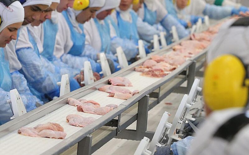 China suspende importações de frango do Brasil após surto de gripe aviária e habilita frigoríficos locais