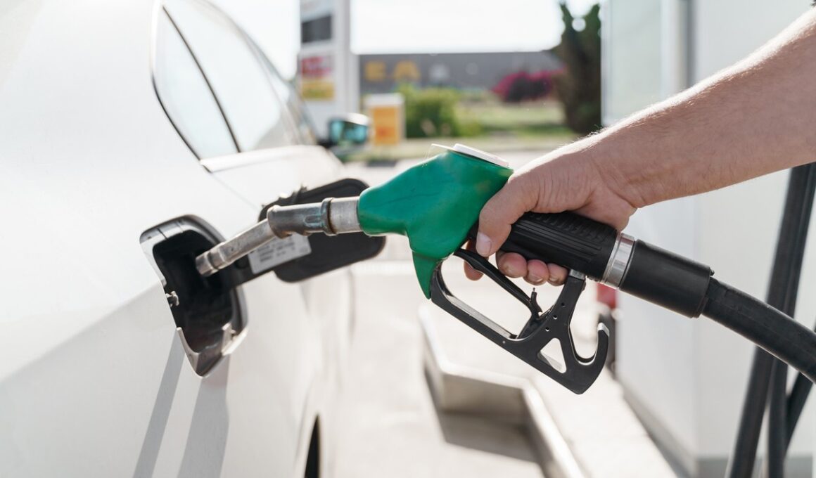 Cientistas convertem plástico em gasolina com 95% de eficiência em uma única etapa Cientistas convertem plástico em gasolina com 95% de eficiência em uma única etapa