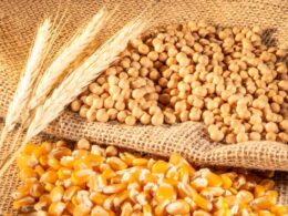 Safra de Grãos 2024/25: O Que 325,7 Milhões de Toneladas Significam para o Futuro da Agricultura no Brasil?
