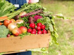 Como o Futuro da Alimentação no Reino Unido Depende dos Investimentos em Segurança Alimentar