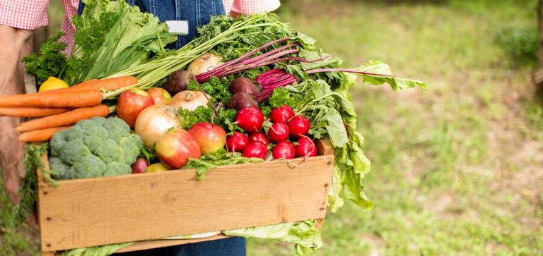 Como o Futuro da Alimentação no Reino Unido Depende dos Investimentos em Segurança Alimentar