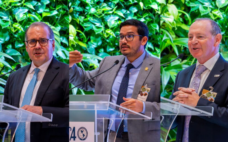 Como os Mercados de Carbono Estão Transformando a Pecuária Sustentável na América Latina