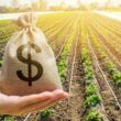 Crise à Vista: Como a Recuperação Judicial Está Transformando o Cenário Empresarial em 2025!