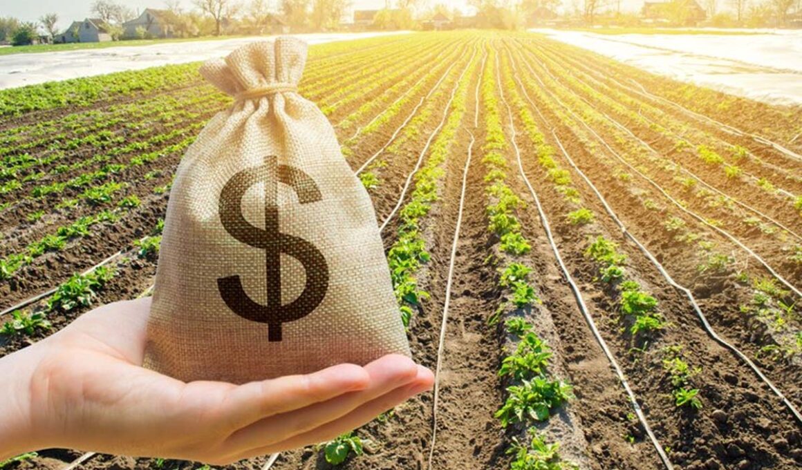 Crise à Vista: Como a Recuperação Judicial Está Transformando o Cenário Empresarial em 2025!