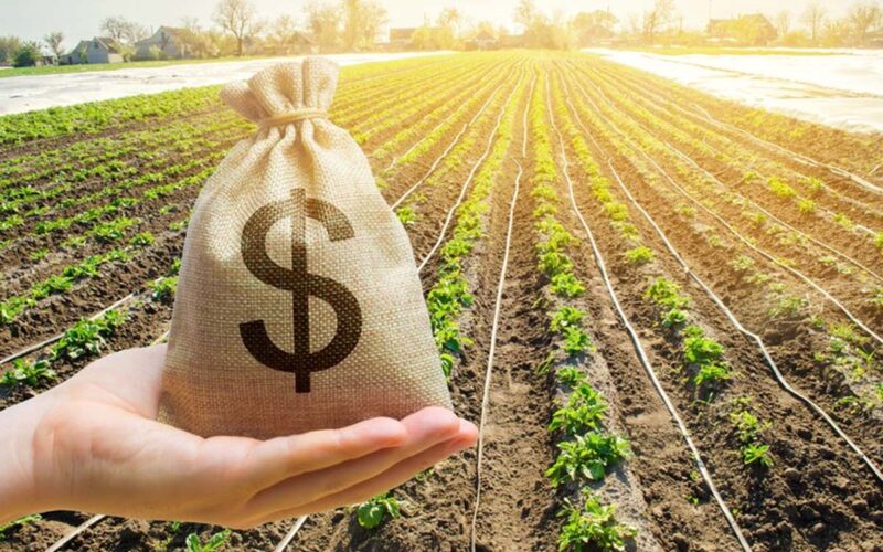 Crise à Vista: Como a Recuperação Judicial Está Transformando o Cenário Empresarial em 2025!
