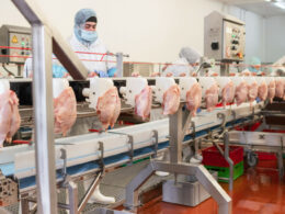 Crise nas Aves: Como as Deportações Podem Alavancar o Preço do Frango na Sua Mesa!
