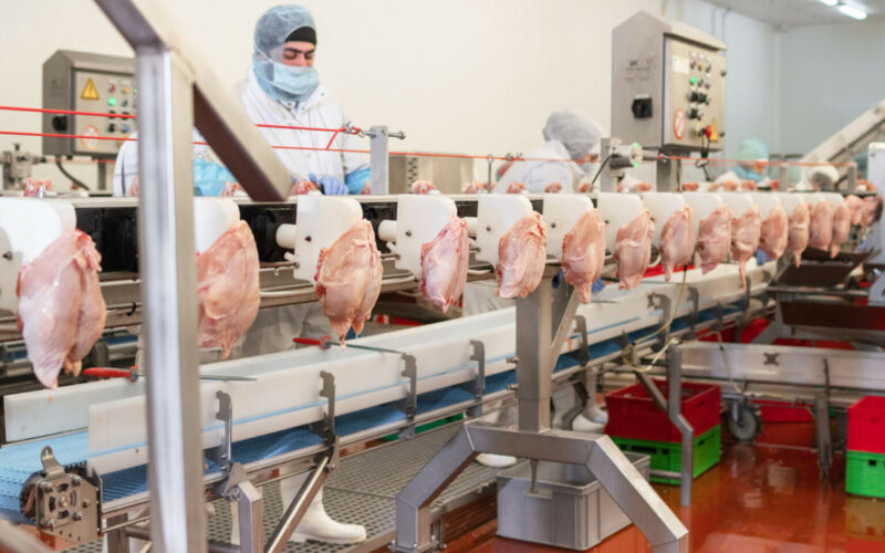 Crise nas Aves: Como as Deportações Podem Alavancar o Preço do Frango na Sua Mesa!