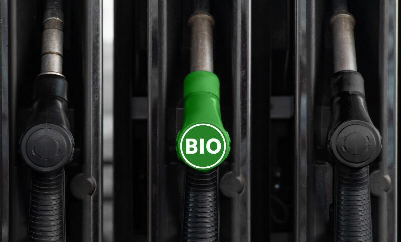 Crise no Biodiesel: Como a Nova Política do Governo Pode Travar Investimentos Sustentáveis no Brasil