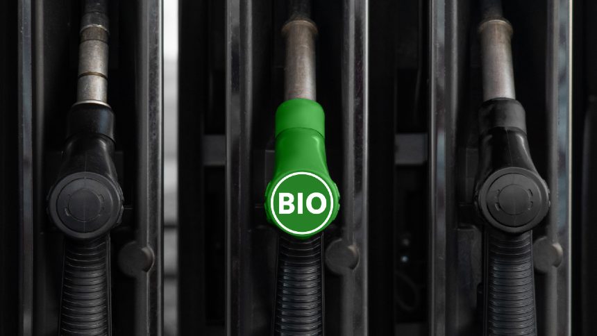 Crise no Biodiesel: Como a Nova Política do Governo Pode Travar Investimentos Sustentáveis no Brasil