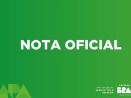 Crise no Galinheiro: Como a Influenza Aviária Está Redefinindo o Mercado Global de Exportações de Aves