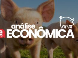 Crise ou Oportunidade? Como a Alta de Preços na Suinocultura Pode Transformar Seu Negócio!