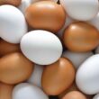 Cuba vive apagão de ovos: produção desaba, importações no limite e os sinais para sua despensa