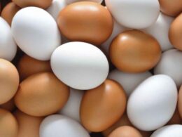 Cuba vive apagão de ovos: produção desaba, importações no limite e os sinais para sua despensa