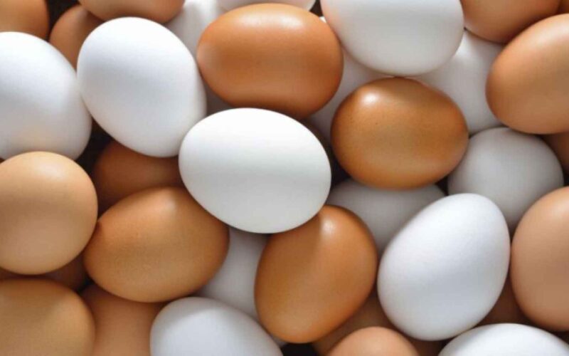 Cuba vive apagão de ovos: produção desaba, importações no limite e os sinais para sua despensa
