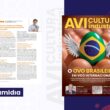 Da China ao Brasil: 5 perguntas ao CEO da HaiNeng para elevar produtividade e lucro na avicultura
